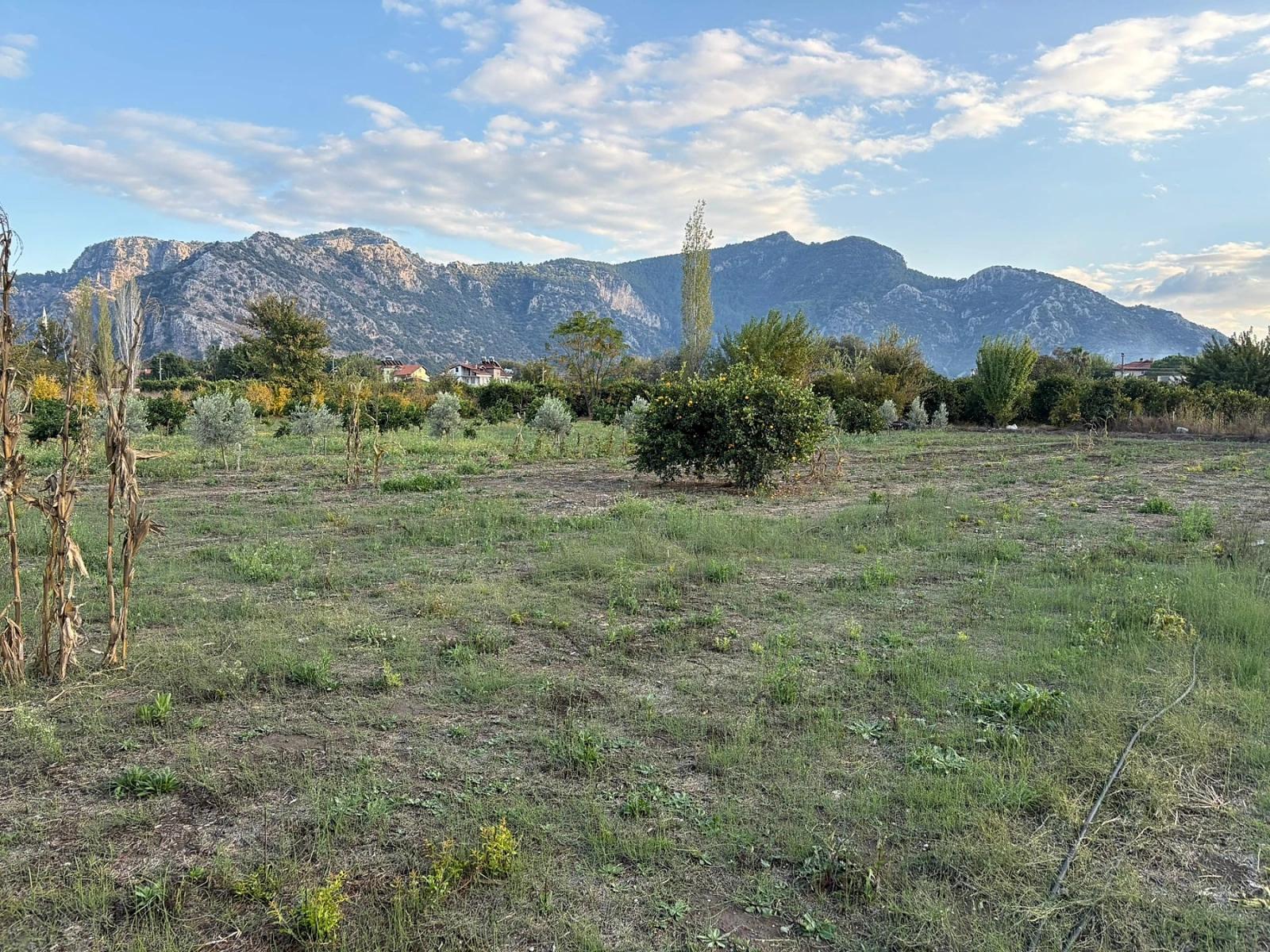 7.450 M² Großes Grundstück In Dalyan Mit 5%iger Zonierung Zu Verkaufen.