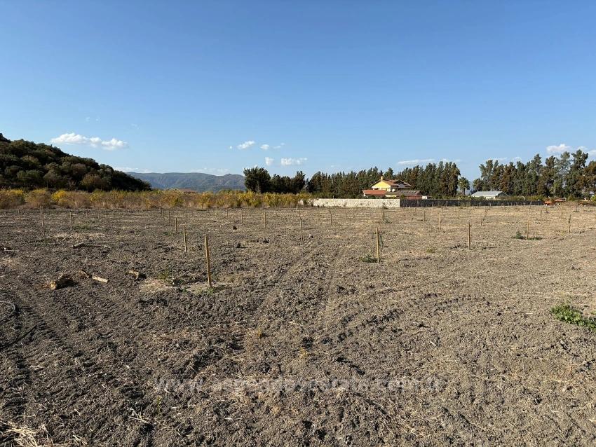 19.663 M² Ackerland Und Haus In Eskiköy