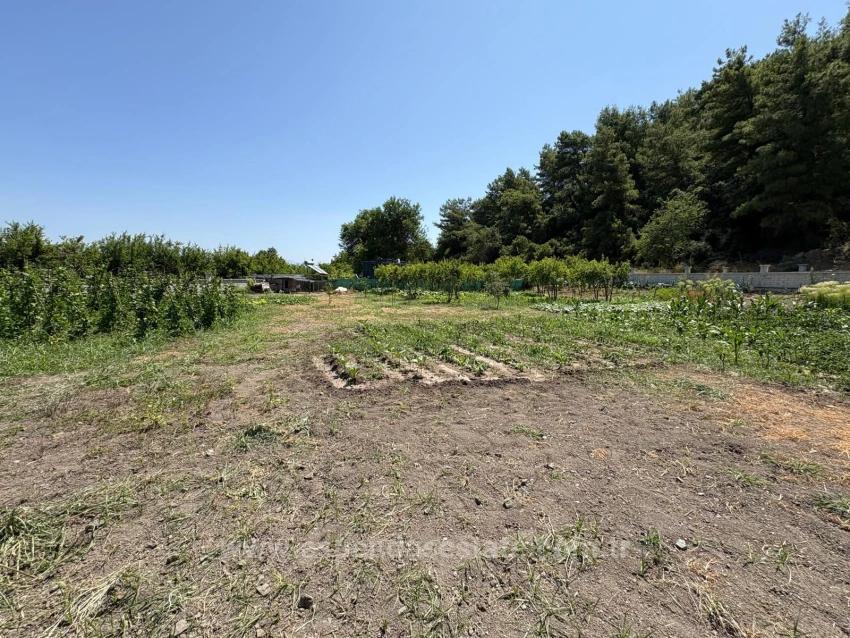Freistehendes Holzhaus Mit 120 M² Wohnfläche Auf Einem 2500 M² Großen Grundstück In Der Gegend Von Dalyan Karadağ