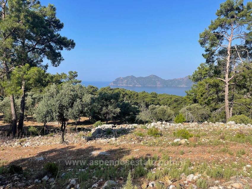 Schnäppchengrundstück Zum Verkauf Mit Meerblick In Der Gegend Von Ekincik-Çandır.