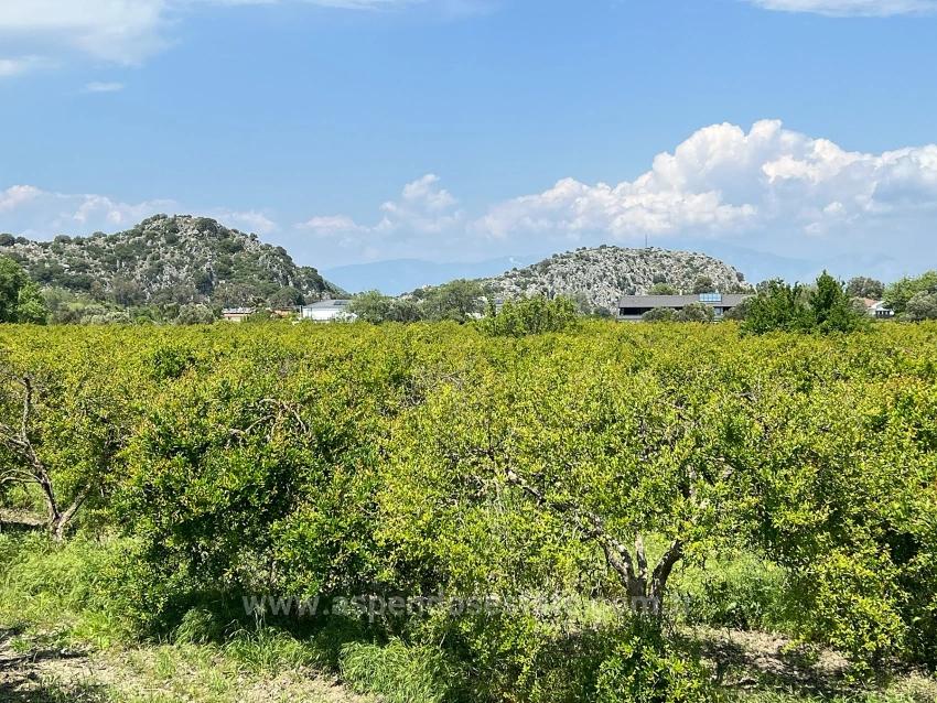 5.100 M² Großes Grundstück In Dalyan, Gebiet Maraş, Zu Verkaufen, Ausgewiesen Für 5% Wohnnutzung.