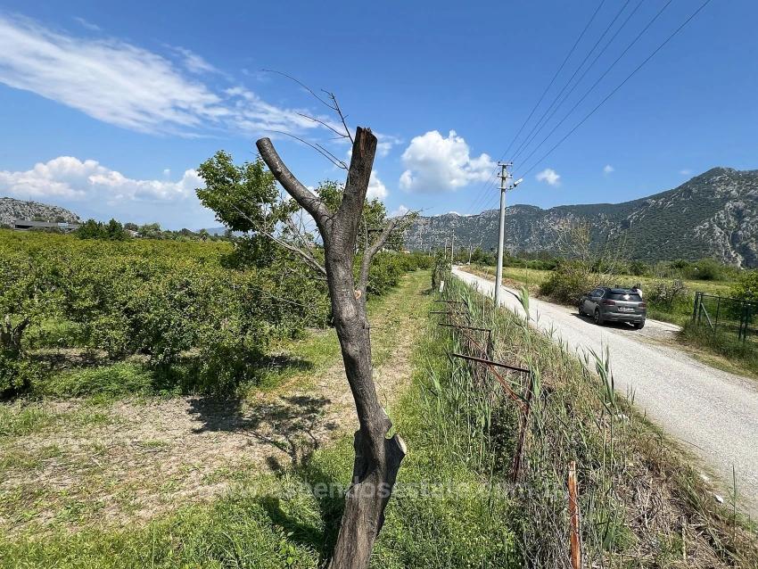 5.100 M² Großes Grundstück In Dalyan, Gebiet Maraş, Zu Verkaufen, Ausgewiesen Für 5% Wohnnutzung.