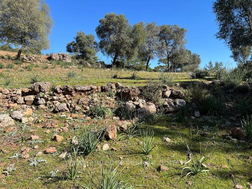Grundstück Zum Verkauf In Gökbel, Umgeben Von Natur Und Wald.