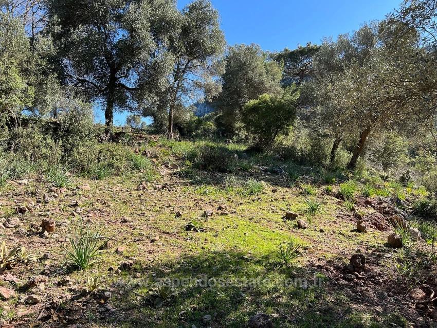 Grundstück Zum Verkauf In Gökbel, Umgeben Von Natur Und Wald.