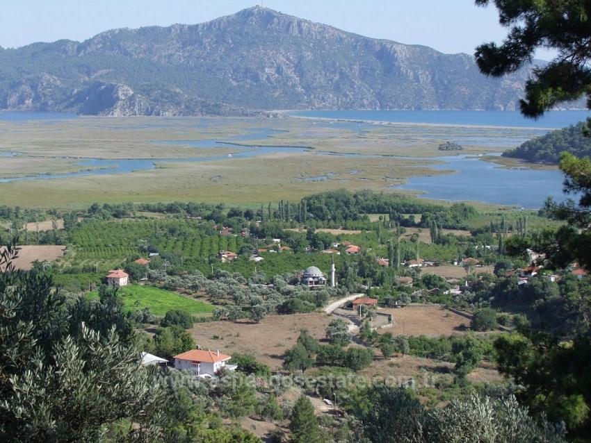 Feld Zu Verkaufen in Çandır Bz. Köyceğiz - Feld-Zonierung - 19.334 m²