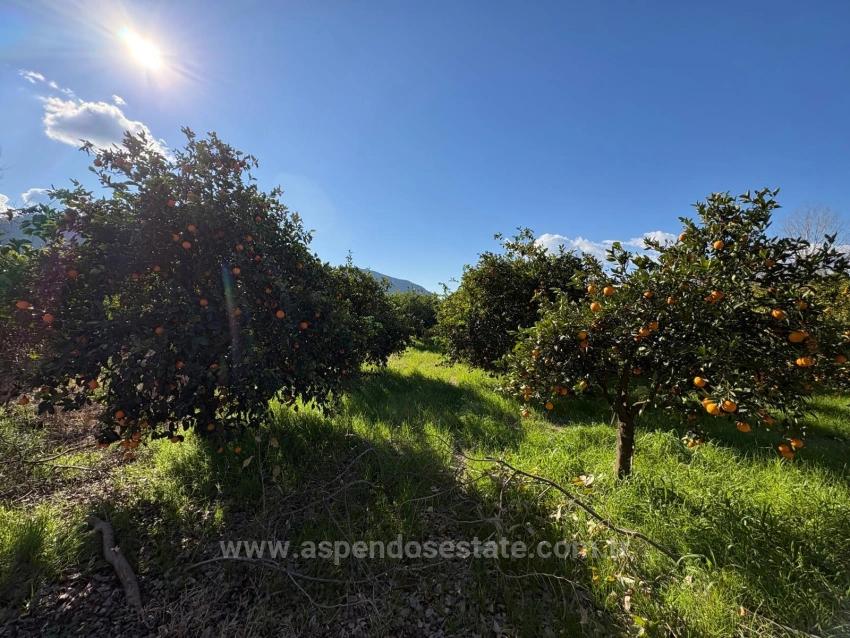 4.326 M² Großes Grundstück Im Wohngebiet Von Okçular Zu Verkaufen.