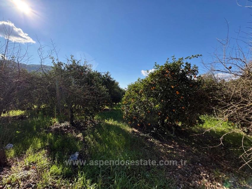 4.326 M² Großes Grundstück Im Wohngebiet Von Okçular Zu Verkaufen.