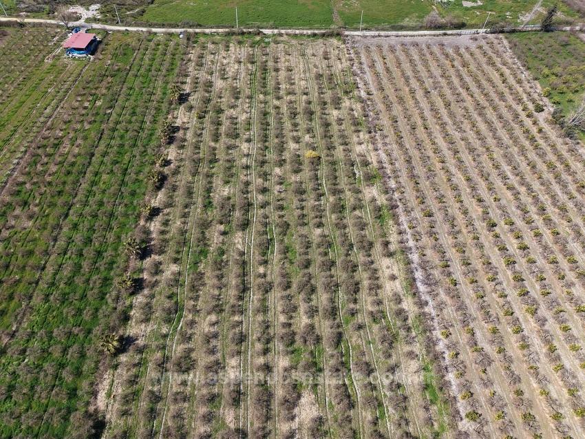 16.710 M² Granatapfelgarten Zum Verkauf Mit Seeblick In Eskiköy