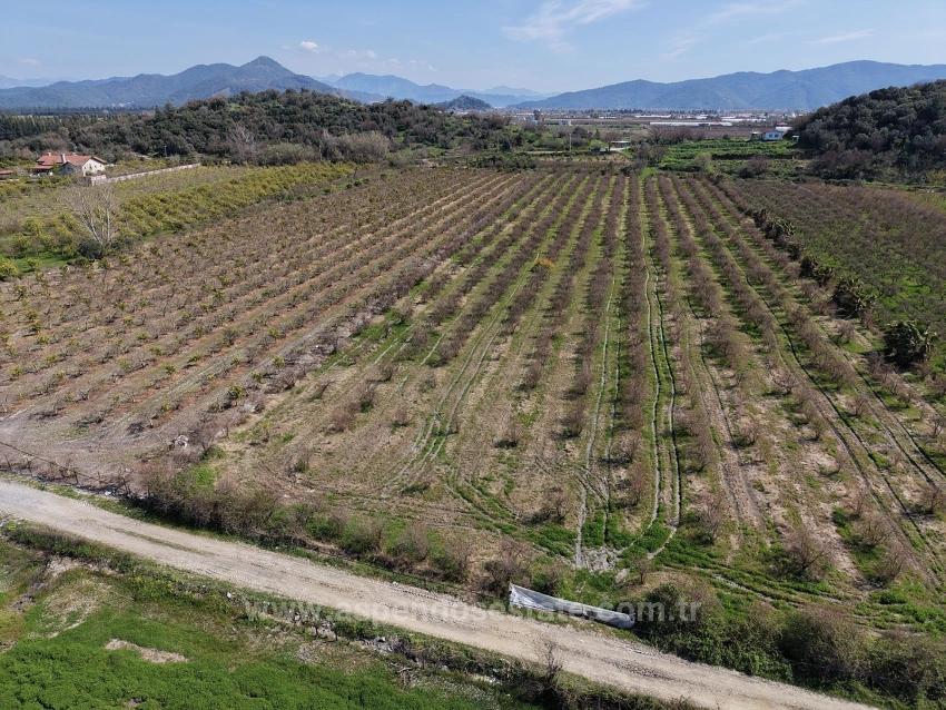 16.710 M² Granatapfelgarten Zum Verkauf Mit Seeblick In Eskiköy