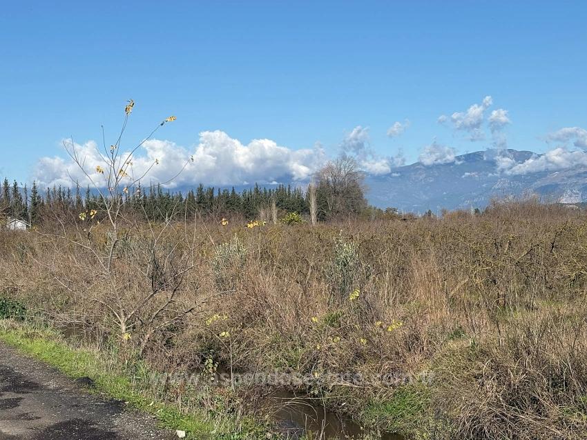 23.000 M² Großes Freistehendes Grundstück In Tepearası Zu Verkaufen.