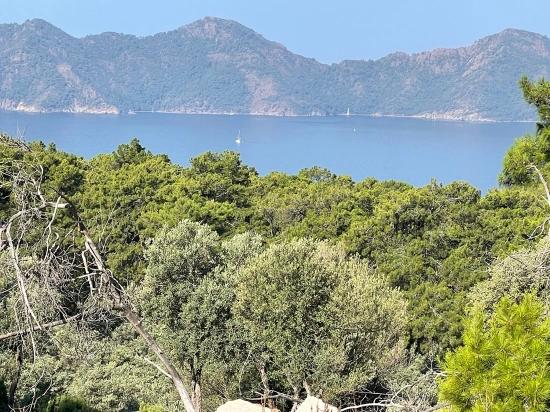 Schnäppchengrundstück Zum Verkauf Mit Meerblick In Der Gegend Von Ekincik-Çandır.