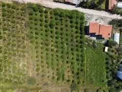 Land Zu Verkaufen in Okçular Bz. Ortaca - Gehäuse-Zonierung - 1.050 m²