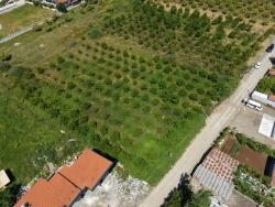Land Zu Verkaufen in Okçular Bz. Ortaca - Gehäuse-Zonierung - 1.050 m²