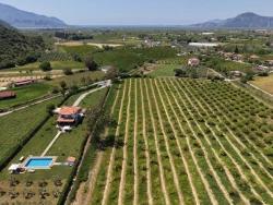 Feld Zu Verkaufen in Dalyan Bz. Ortaca - Feld-Zonierung - 5.100 m²