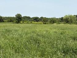 Land Zu Verkaufen in Okçular Bz. Ortaca - Gehäuse-Zonierung - 2.390 m²