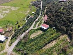 Feld Zu Verkaufen in Eskiköy Bz. Ortaca - Feld-Zonierung - 16.710 m²