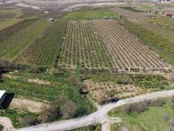 16.710 M² Granatapfelgarten Zum Verkauf Mit Seeblick In Eskiköy