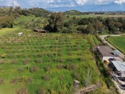 Herberge Zu Verkaufen in Eskiköy Bz. Ortaca - 11.000 m²