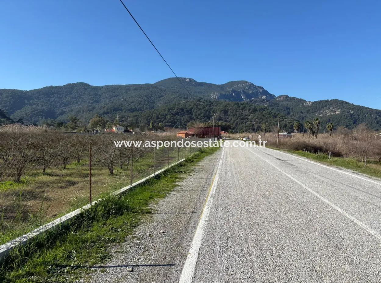5985M2 5% Zoniertes Land Zum Verkauf In Dalyan Als Weinberggarten