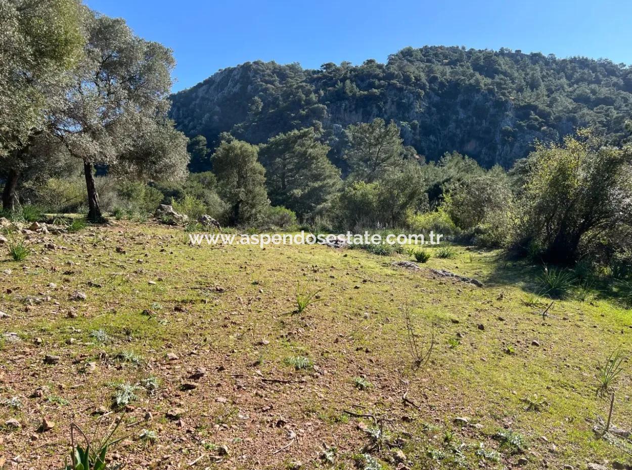 Grundstück Zum Verkauf In Natur Und Wald In Gökbel