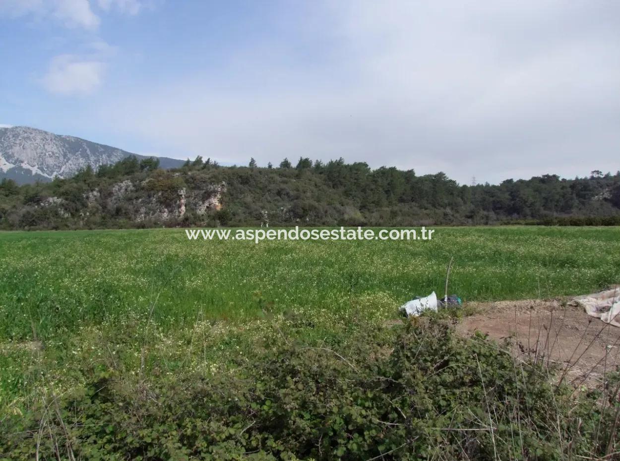 In Akyaka Zum Verkauf: Grundstück Zum Verkauf Bauernhof Zum Verkauf Einer Farm In Der Nähe Vom Meer, In Ars, Yatirimlik 21625M2