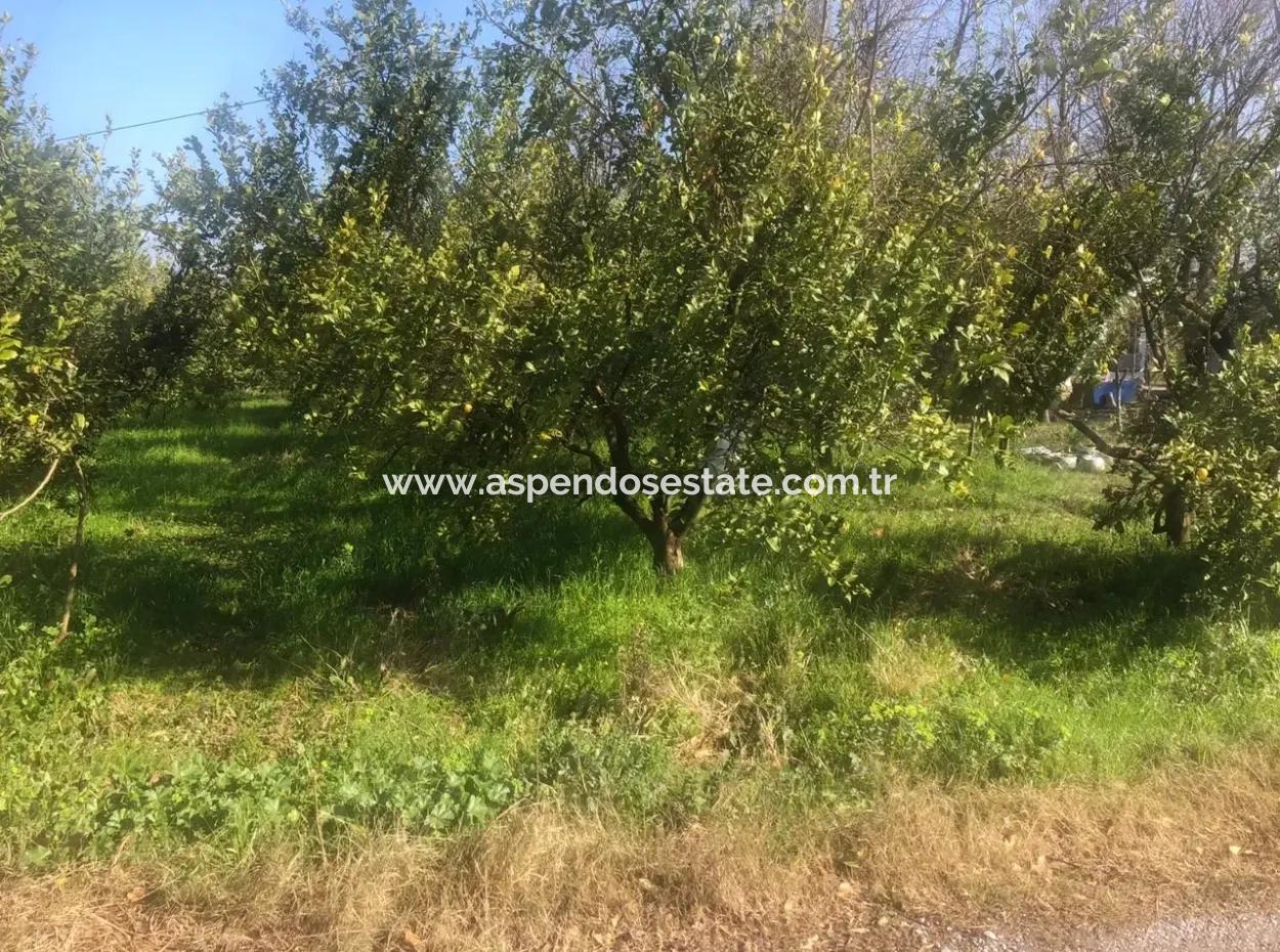 Raiders 803M2 Land Zum Verkauf In Plot Zum Verkauf