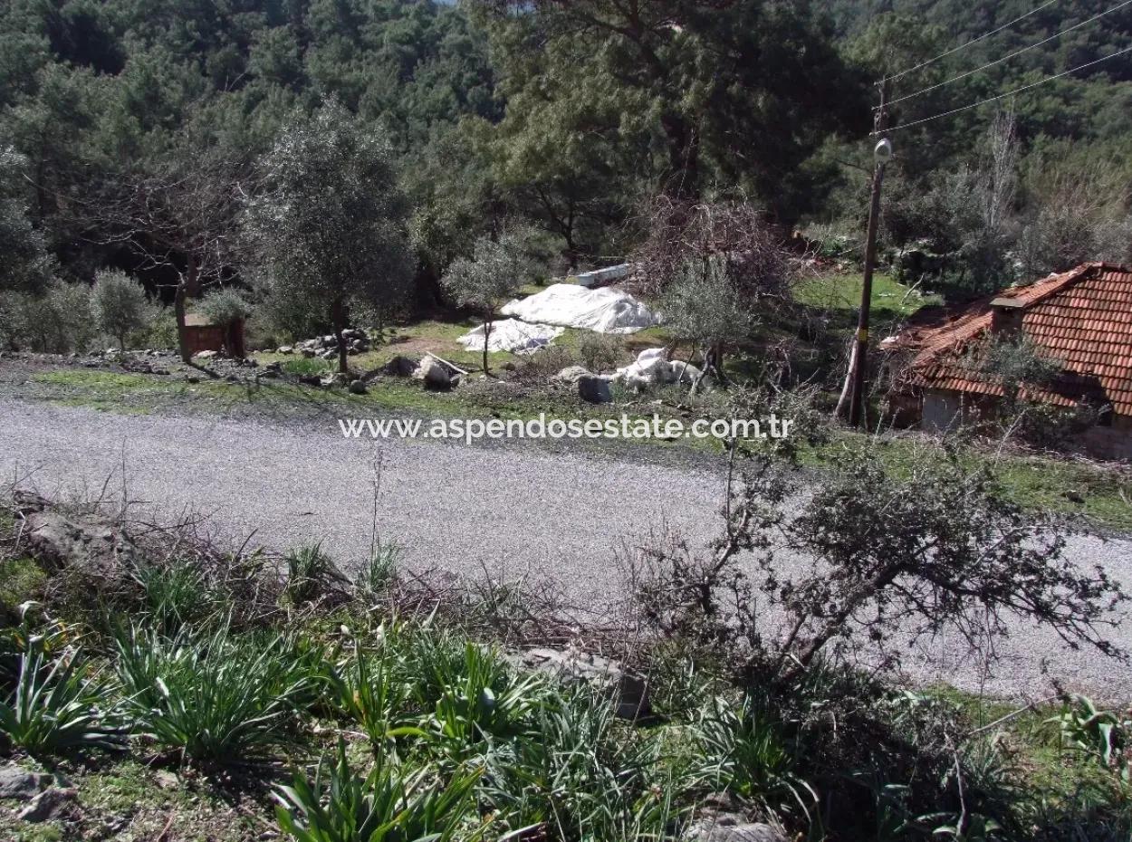 Landwirtschaftliche Grundstück Zum Verkauf Mit Meerblick Zum Verkauf In Gokbel