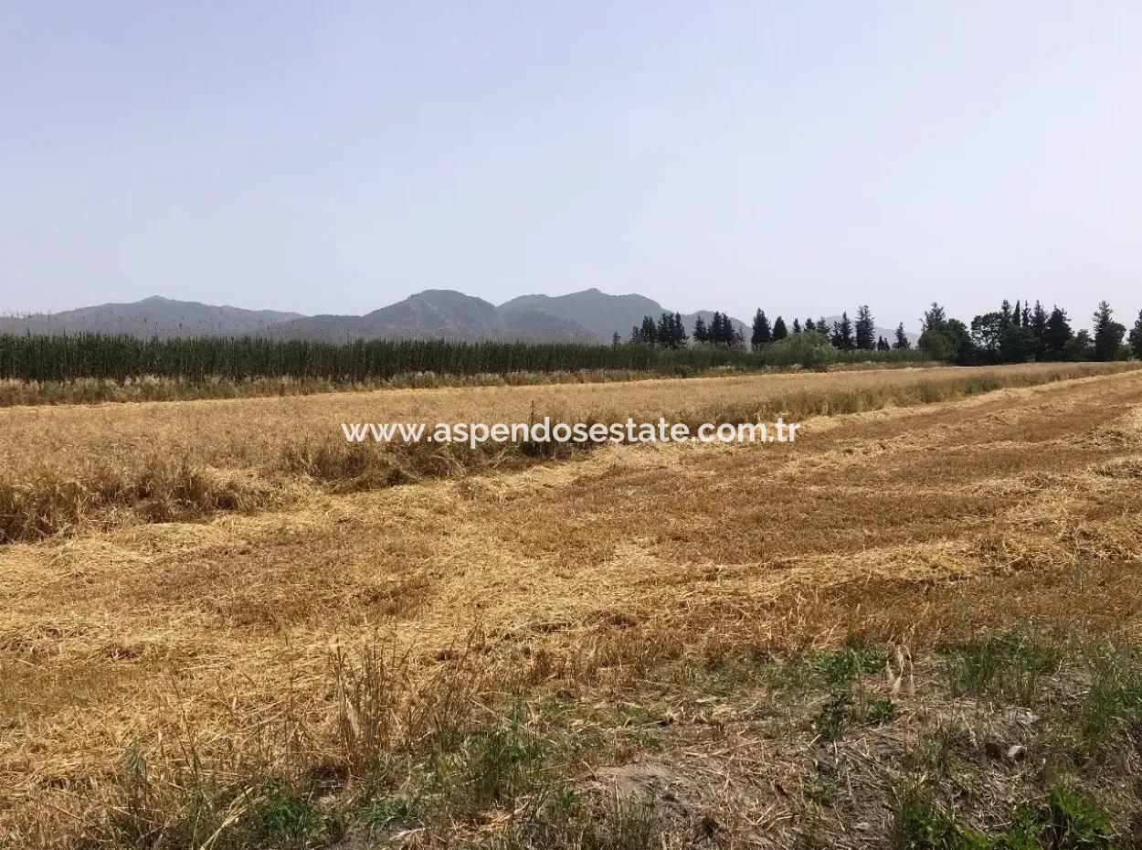 Ackerland Zum Verkauf 39 Hektar In Eskikoy
