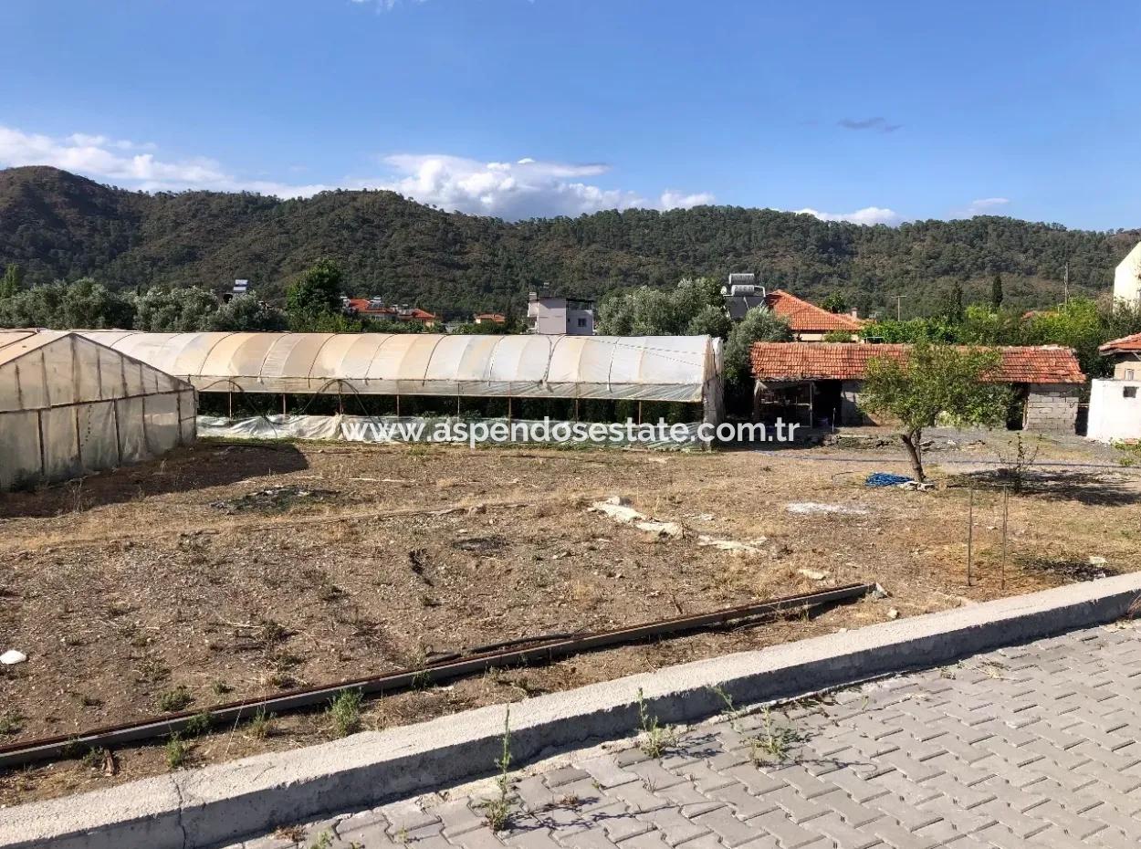 Oriya 560 560 Sq Ft Grundstück Zum Verkauf Gewerbeflächen Hauptstraße Zum Verkauf Eksiliyurt Null