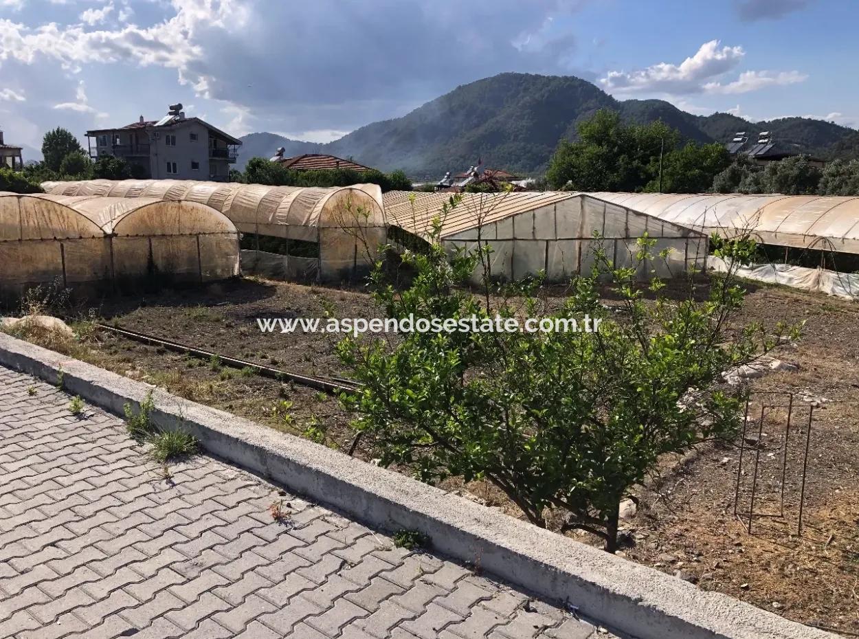 Oriya 560 560 Sq Ft Grundstück Zum Verkauf Gewerbeflächen Hauptstraße Zum Verkauf Eksiliyurt Null