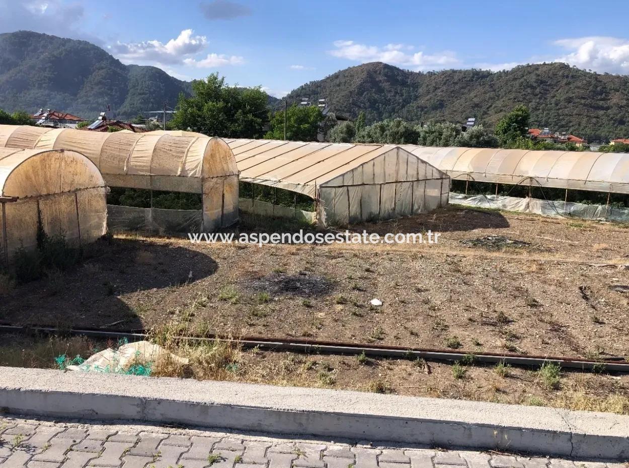 Oriya 560 560 Sq Ft Grundstück Zum Verkauf Gewerbeflächen Hauptstraße Zum Verkauf Eksiliyurt Null