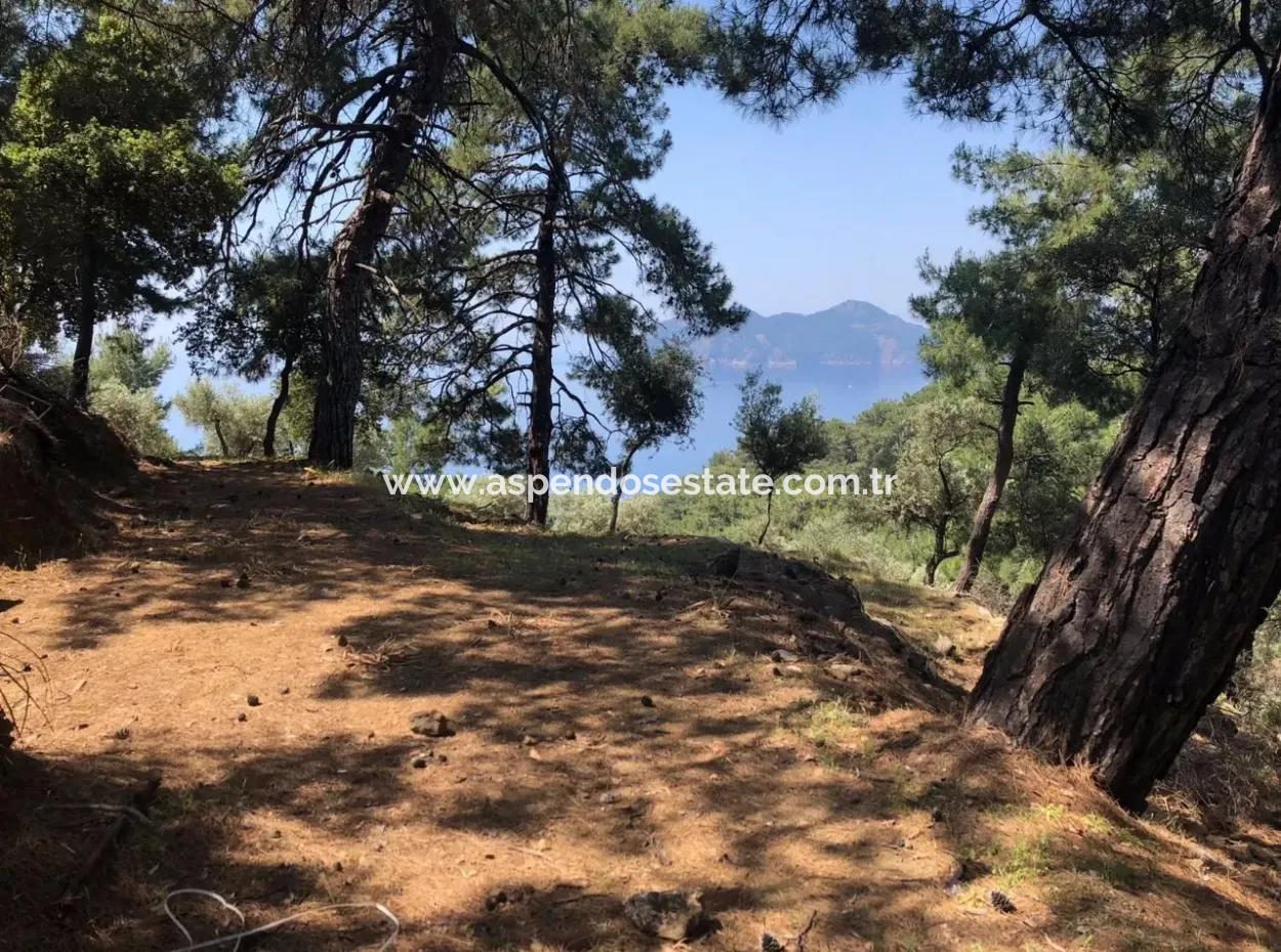 7034M2 Feld Zum Verkauf Mit Meerblick In Çandir
