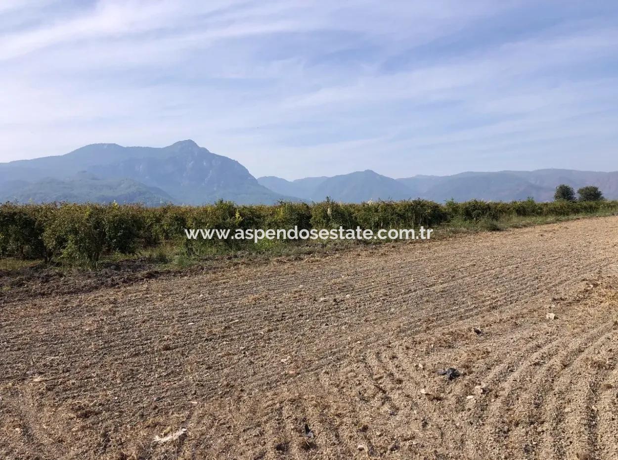 Ackerland Zu Verkaufen In Esköy 8500M2 Ackerland Zu Verkaufen