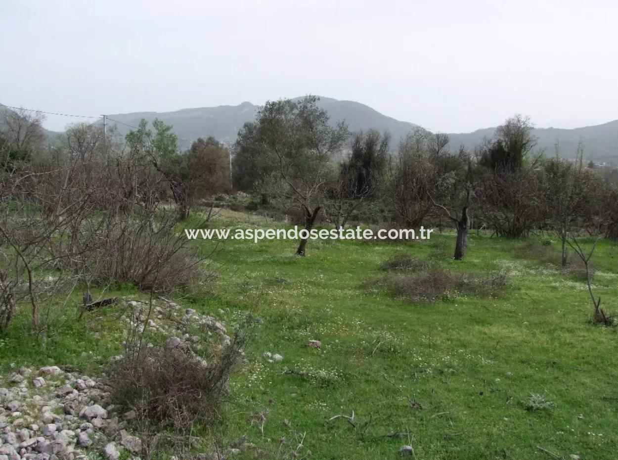 In Incirkoy Uzumlu Fethiye Grundstück Für Verkauf Bauernhof Zum Verkauf In Incirkoy