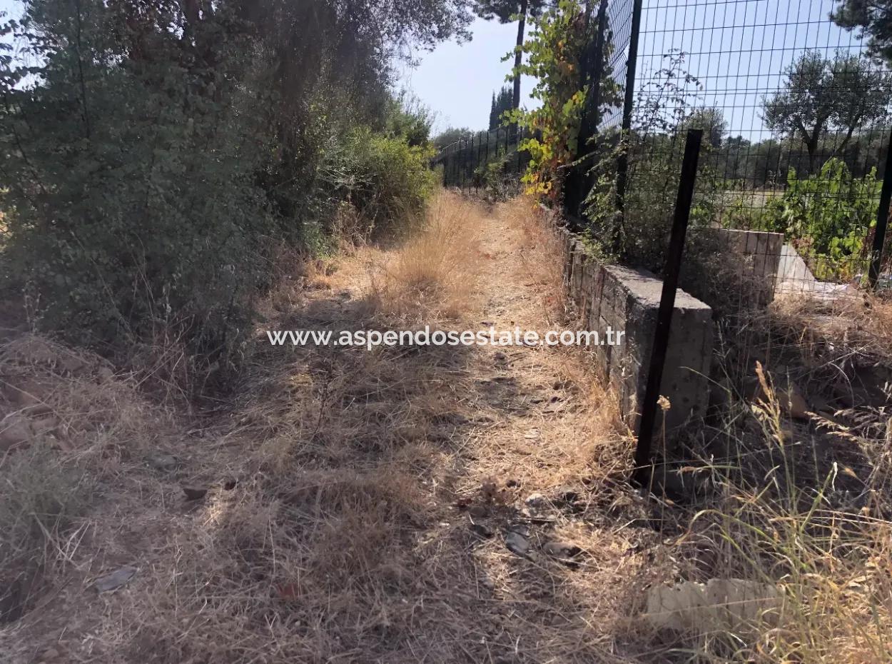 Landfeld Zu Verkaufen In Köyce'inz Yangi 9406M2 Land Zu Verkaufen