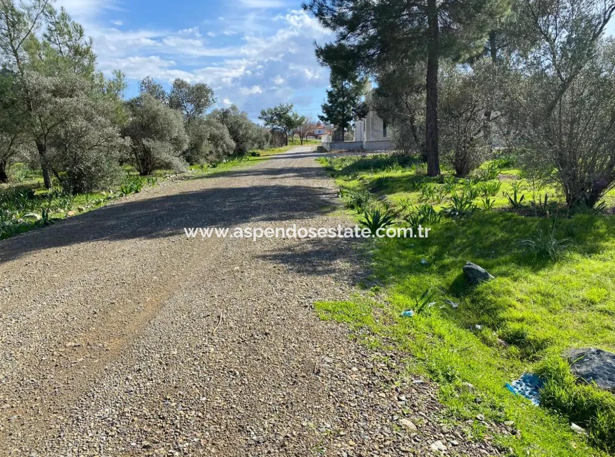401M2 Grundstück Zum Verkauf In Ortaca Cumhuriyet Nachbarschaft