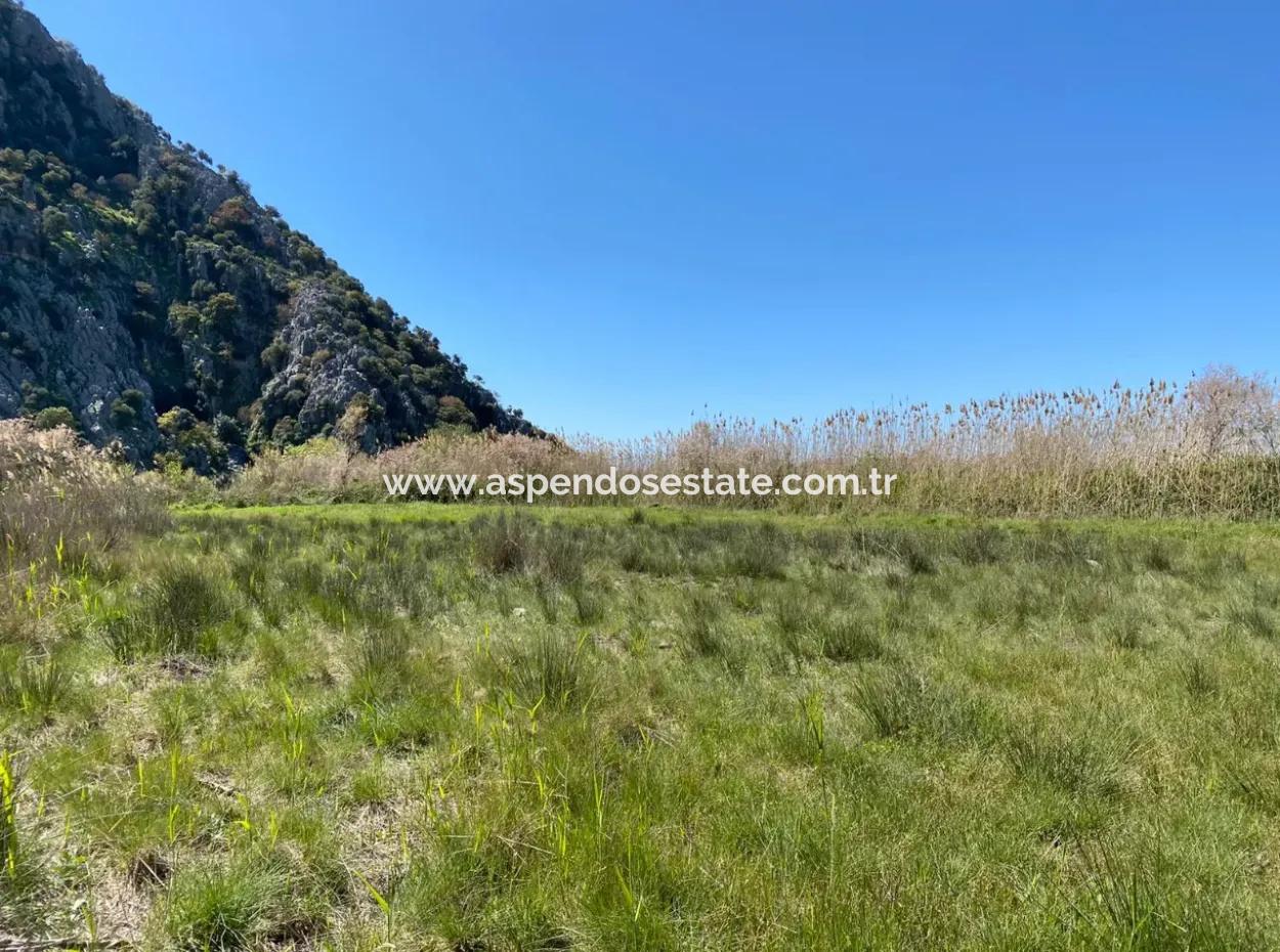 9310M2 Grundstück Zu Verkaufen In Dalyan