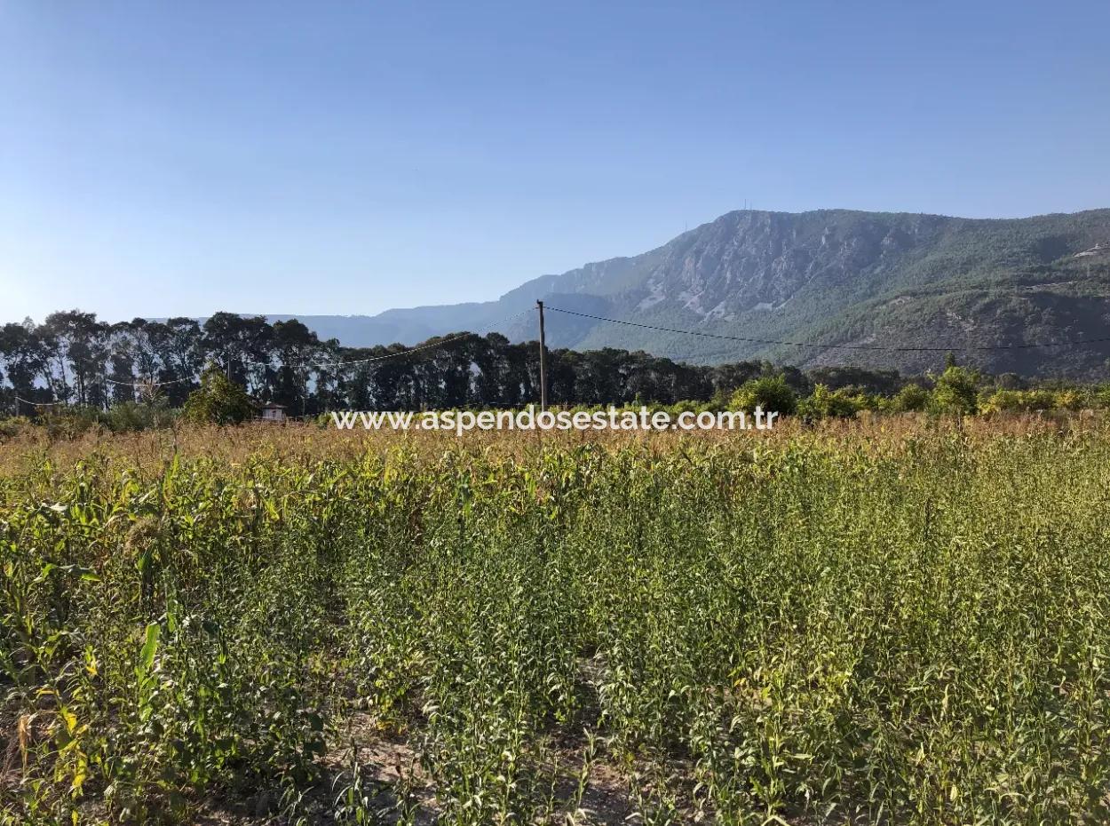 Field Zu Verkaufen In Ak'apinar 100 Acres Zu Verkaufen