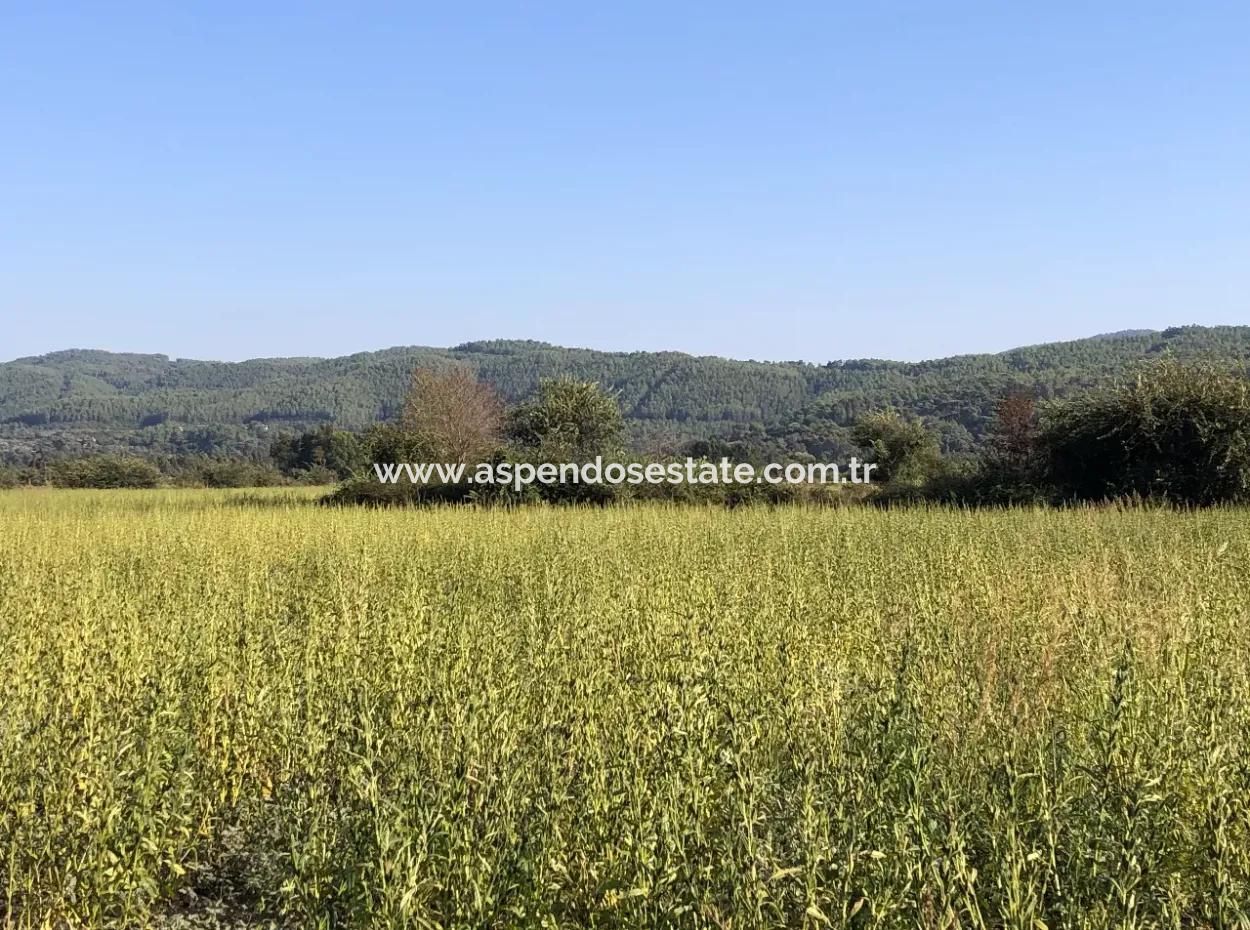 Field Zu Verkaufen In Ak'apinar 100 Acres Zu Verkaufen