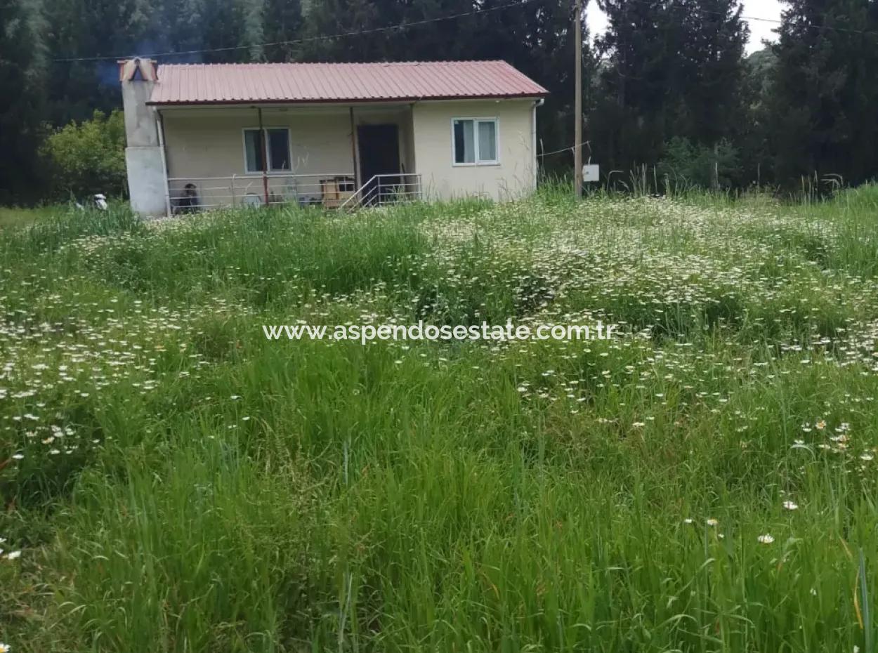 Grundstücke Zu Verkaufen In Amlida