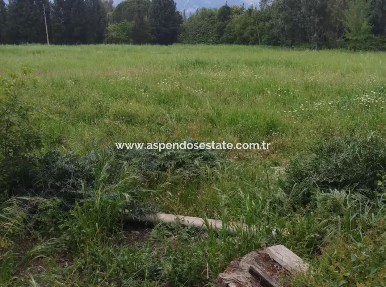 Grundstücke Zu Verkaufen In Amlida