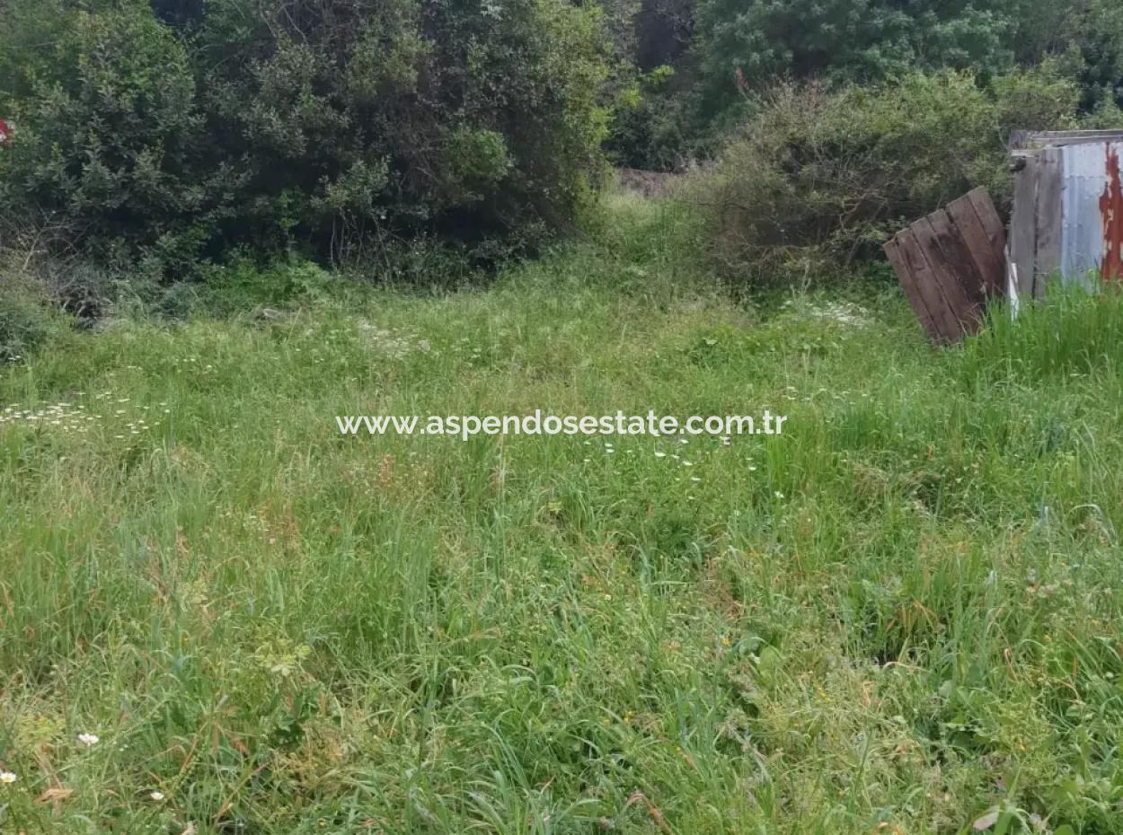 Grundstücke Zu Verkaufen In Amlida