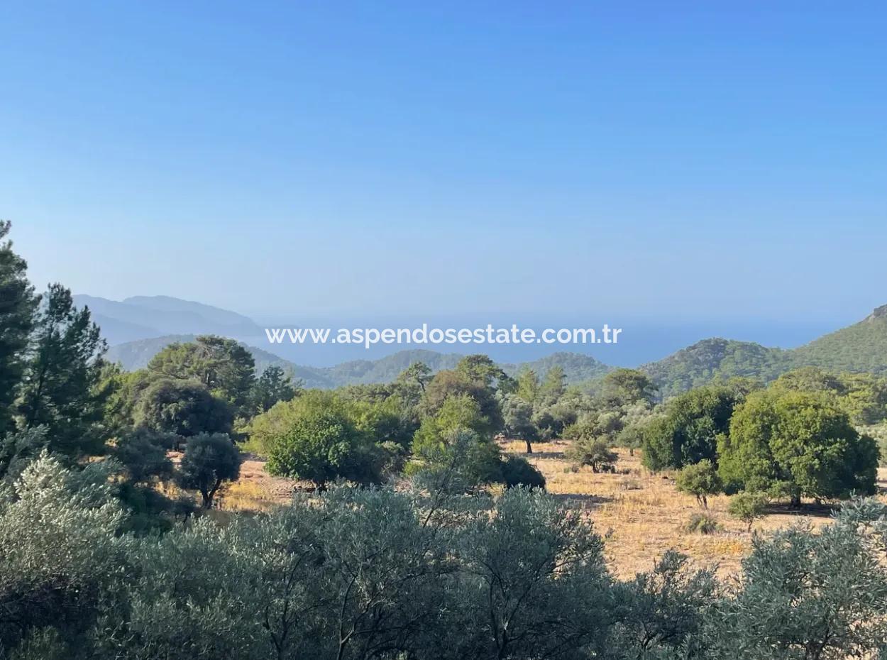 2620M2 Grundstück Zum Verkauf Mit Meerblick Von Çandir