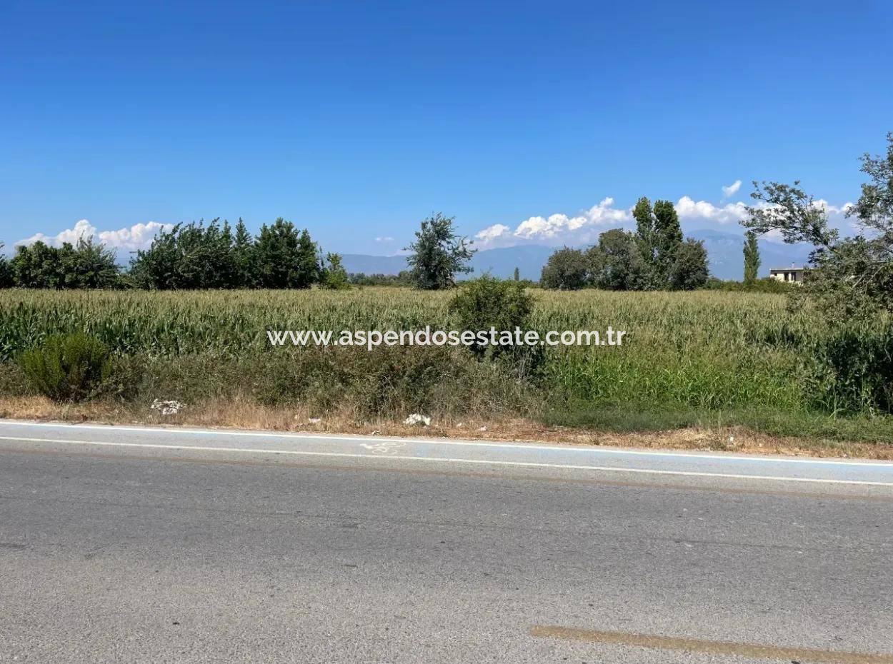 Dalyan Hauptstraße Null Grundstück Zum Verkauf 8115M2 Gewerbegrundstück Zum Verkauf