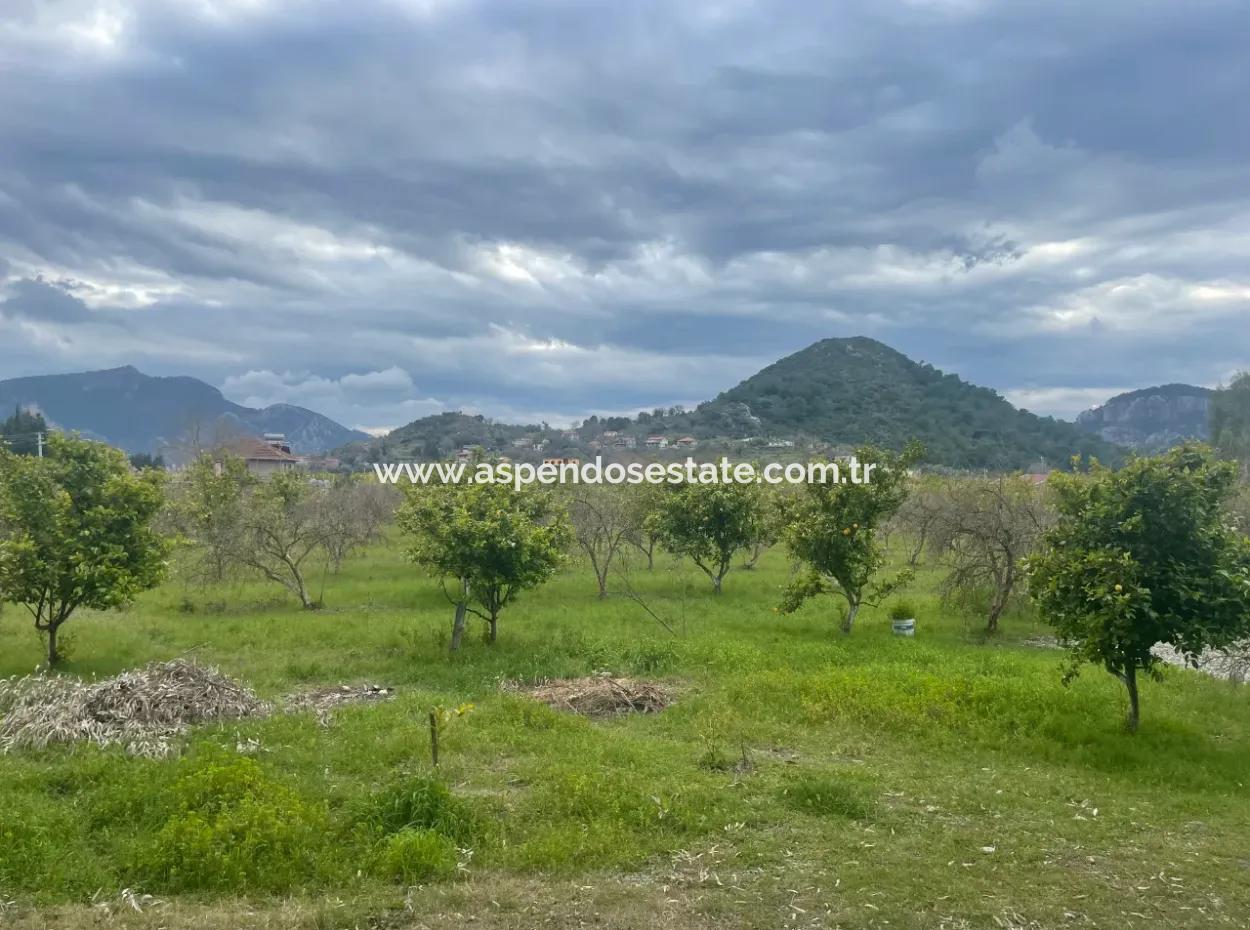 Dalyan Boutique Hotel Zum Verkauf Bungolevler Zum Verkauf In 11.000M2 Grundstück