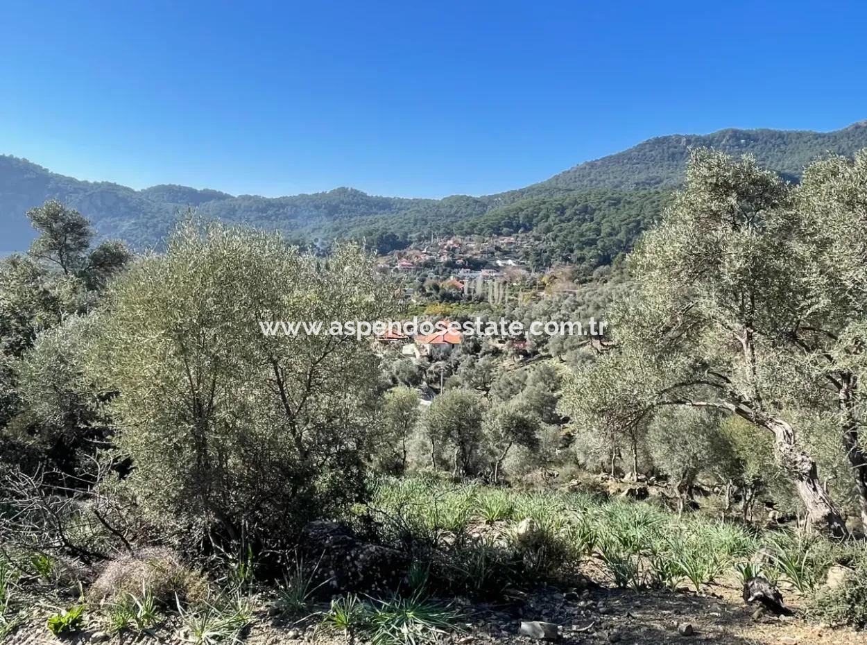 950M2 2B Feld Zum Verkauf Mit Meer- Und Seeblick In Çandır