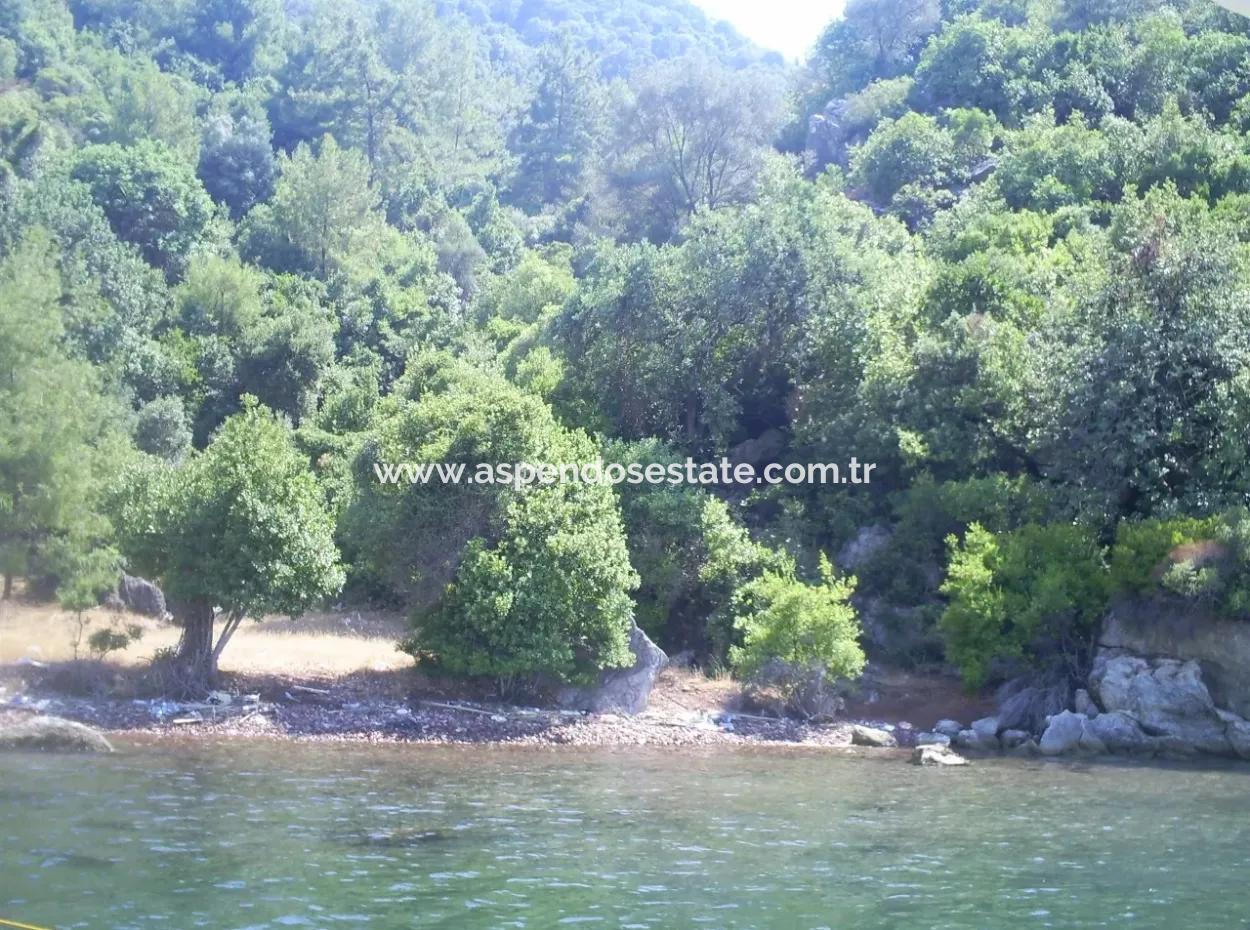 Marmaris Island Dorf Am Meer 4000M2 Land Zum Verkauf Marmaris Schnäppchen Land Zum Verkauf Auf Dem Seeweg