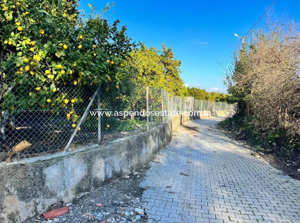 Einstöckiges Haus Zum Verkauf In 5000M2 Grundstück In Çandır