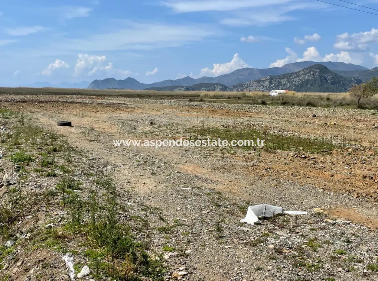 Dalyan Iztuzu Strand Straße Null 19.600M2 Feld Land Zum Verkauf