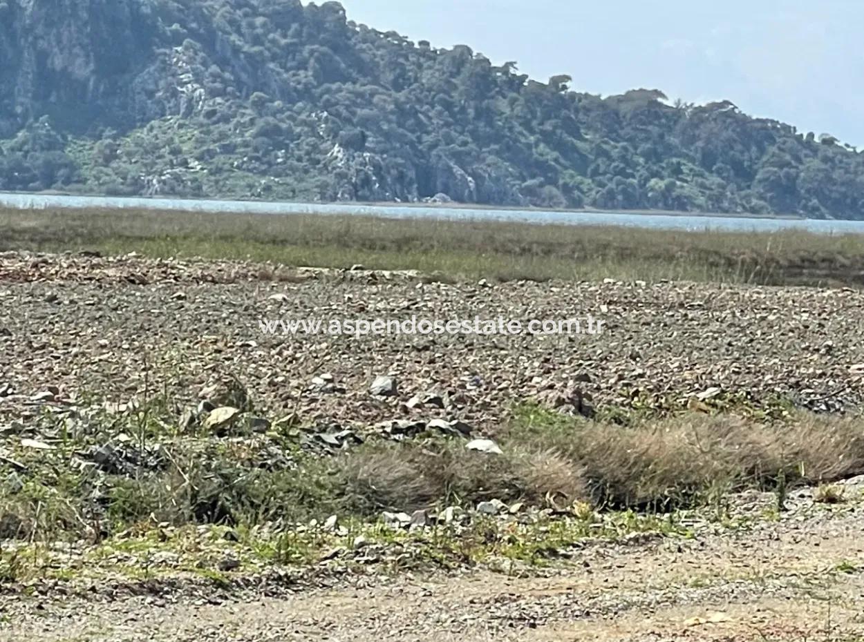 Dalyan Iztuzu Strand Straße Null 19.600M2 Feld Land Zum Verkauf